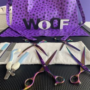 Bark and Bubbles Doggy Day Spa in Hyde Park Chicago