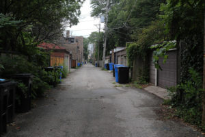 an alley in Hyde Park, Chicago during summertime 
