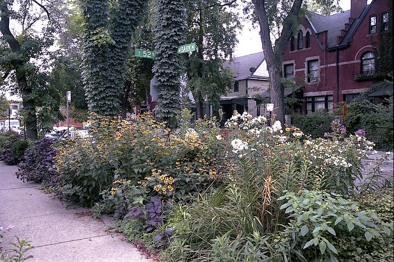 A sidewalk and luscious landscaping along Kimbark Ave. in Hyde Park, Chicago Real Estate