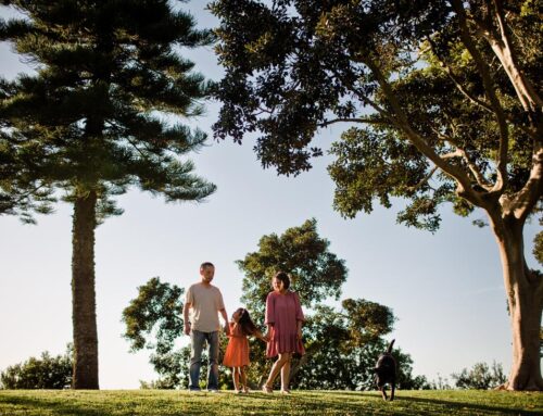 THINGS TO DO IN HYDE PARK – NOVEMBER